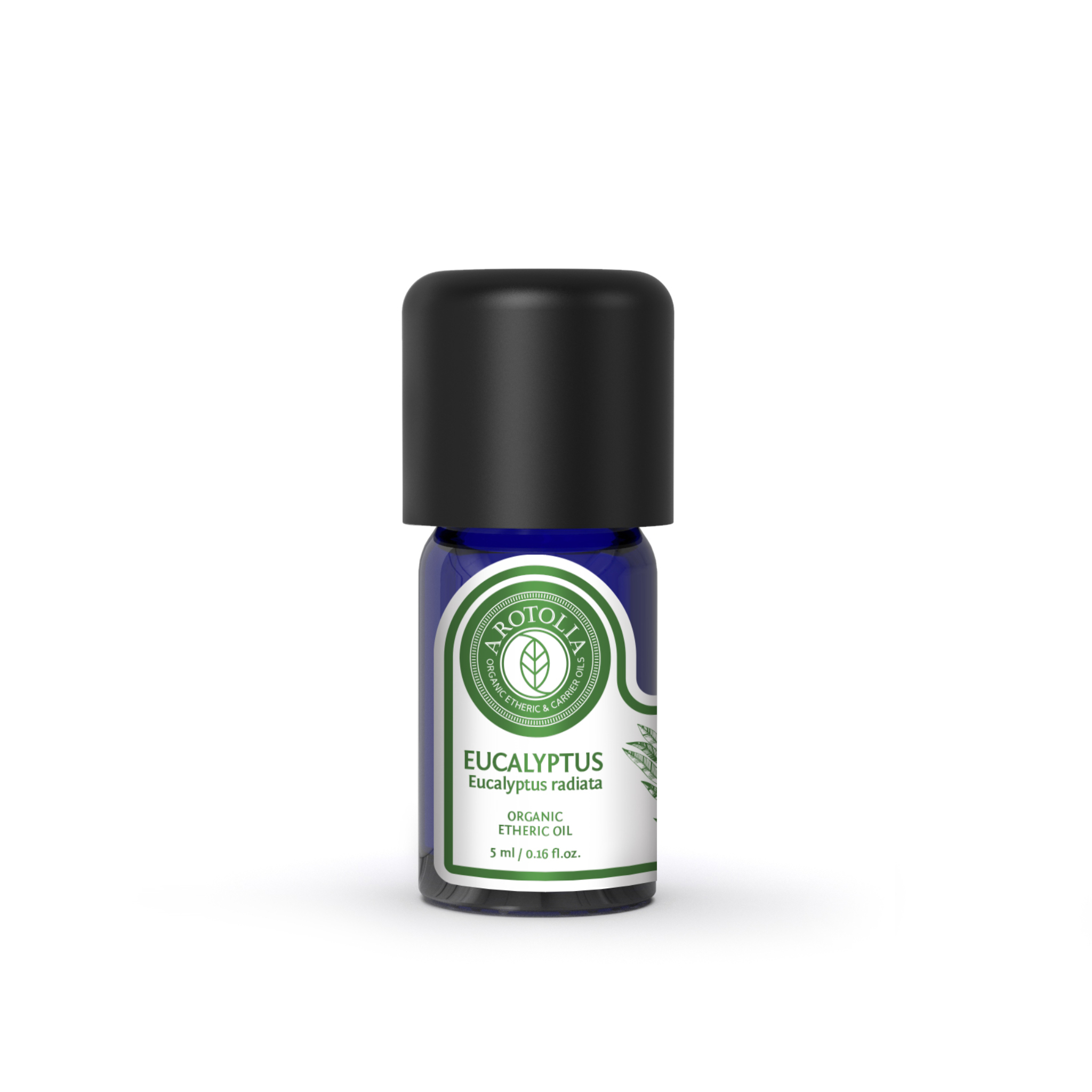 Okaliptüs Radiata Uçucu Yağı 5 ml - EUCALYPTUS RADİATA